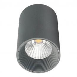 Потолочный светодиодный светильник Escada 20003SMU/01LED SGY  купить