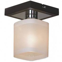 Потолочный светильник Lussole Costanzo LSL-9007-01  - 1 купить