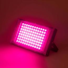 Прожектор светодиодный для растений ЭРА 50W 1310K Fito-80W-RB-Led-Y Б0053082  - 4 купить