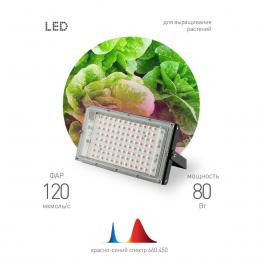 Прожектор светодиодный для растений ЭРА 50W 1310K Fito-80W-RB-Led-Y Б0053082  - 5 купить